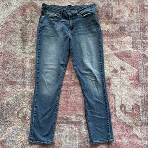 Signature Levi Strauss & Co. Women's Slim Jeans Blue Stretch 5-Pocket